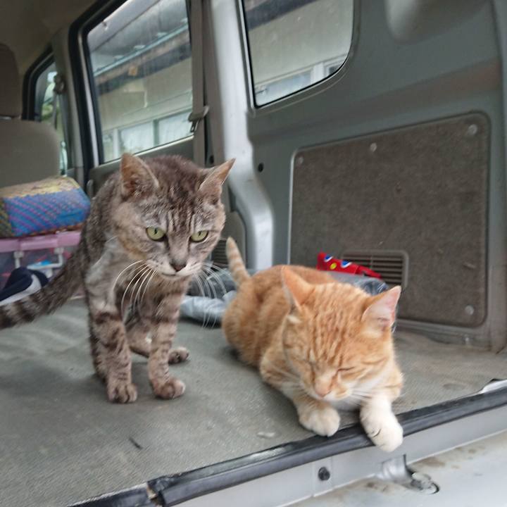 5110e4b2 cf37 4f83 b11d c4e5bc2c7555 1591954317321