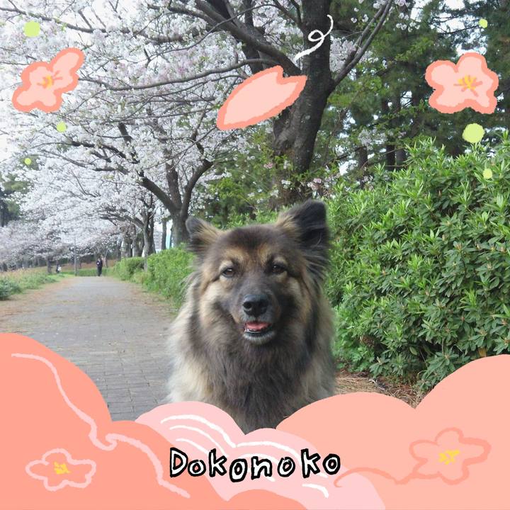 51113a51 2ddf 425a ab86 55e69e35ea08 1775267204989