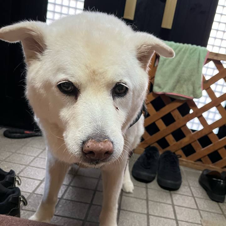 51114a10 26dd 4199 9fa6 92fa43a6bff0 1766447815568