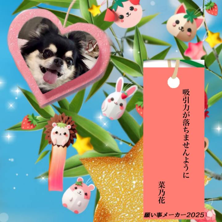 5111799c ab72 4b48 96f6 4e2b1d79614c 1751886552113