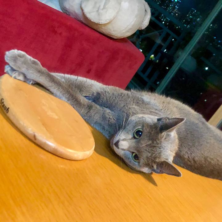 51118c64 5ff4 471b a67b 90c40dab9d7a 1600950738866