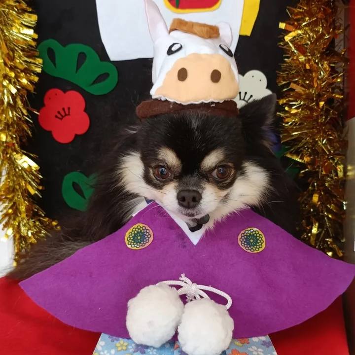 51119a23 509b 46af 9646 d404b8762c33 1767194513677