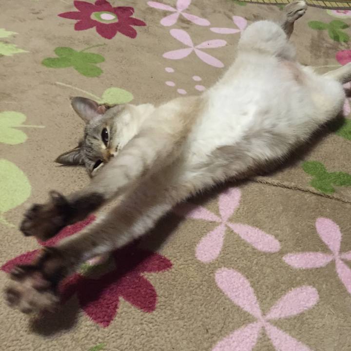 51119b09 8826 472f bb0b c14475b9a894 1525345186898