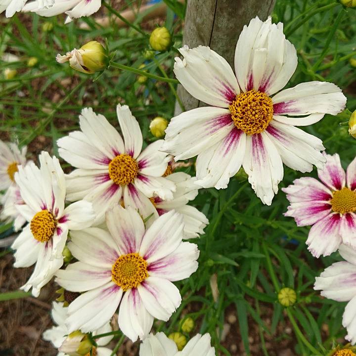 5111c64b a356 4442 9396 0607321ac7ca 1655351279633