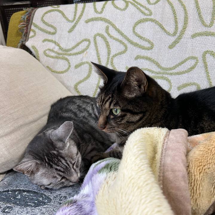 5111f998 4ed7 47b2 a1e6 e70a31d0435c 1740323664589