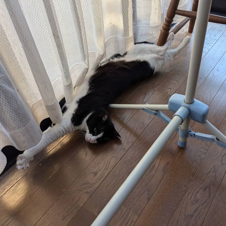 51122710 9473 4910 bc63 722b352f0b0f 1722581691240