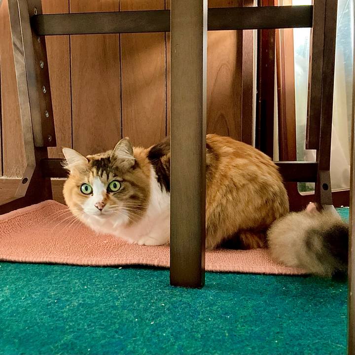 51124c16 495b 4eb9 8185 e7e4e817da3b 1668406661670