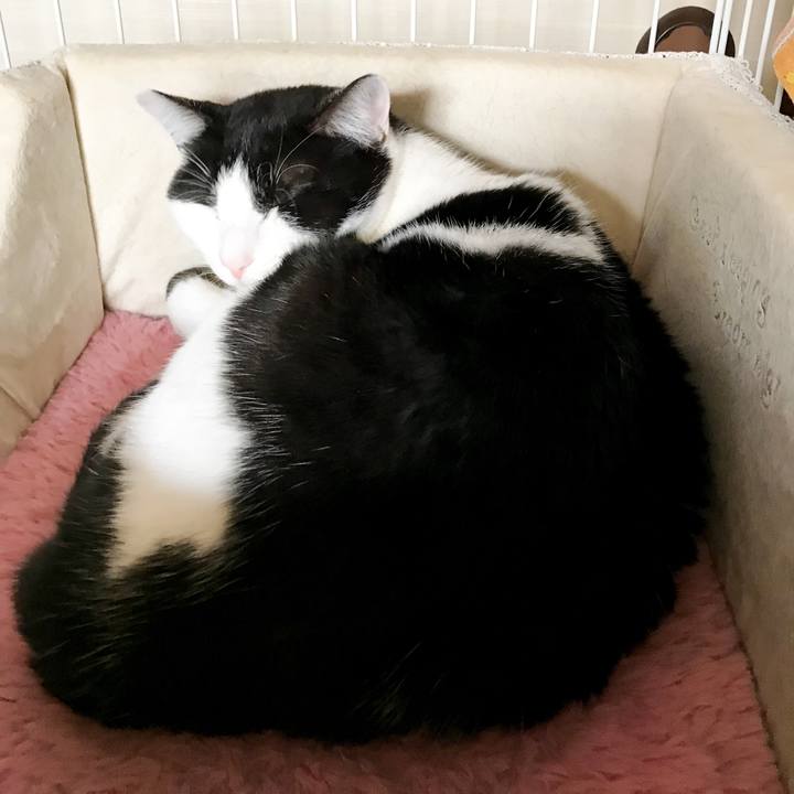 51125e42 847d 4caf a731 52d14bc0dada 1518929079307