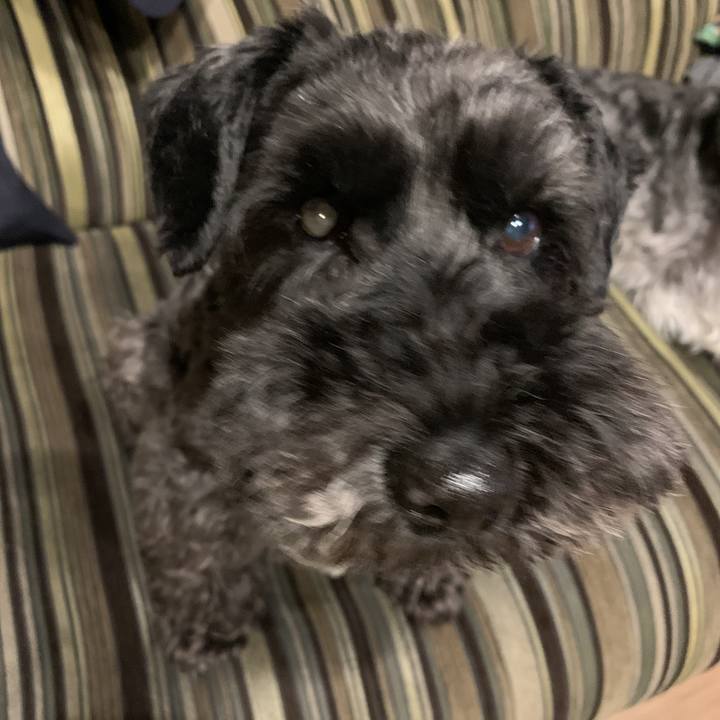 51128b0f 51e1 45ae 998d baed2d4bd421 1592726126212