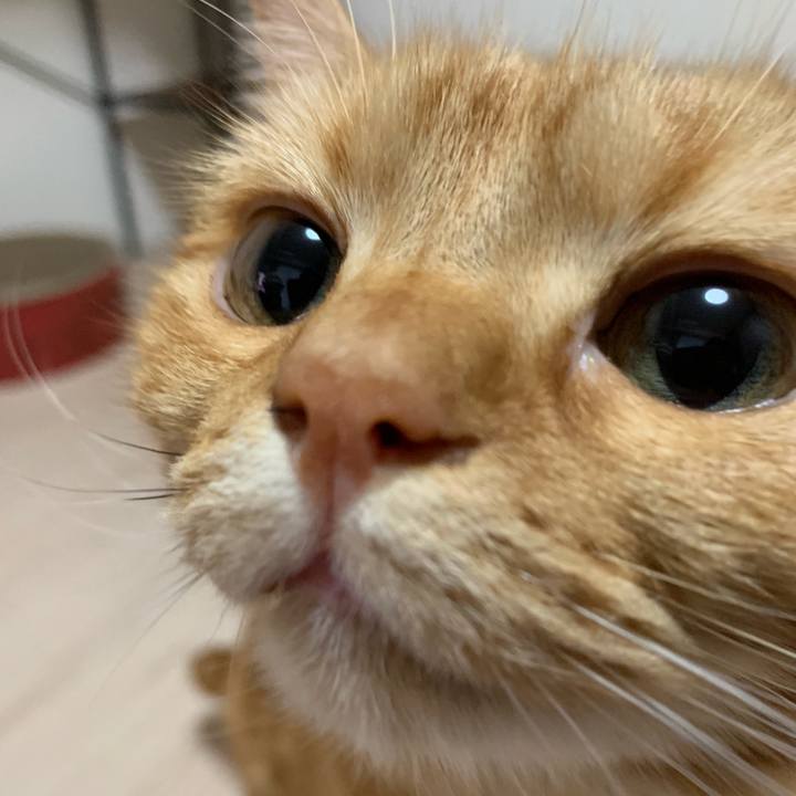 5112996f fab0 41ae af71 7bf1b77fe3c3 1559782839140