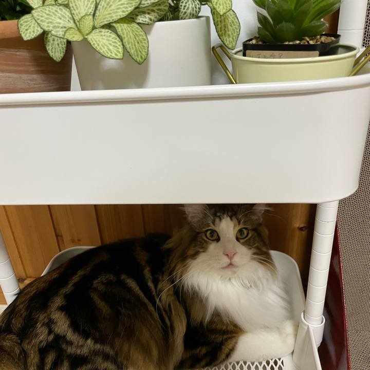 5112dfcf 653c 44e7 b6e9 ad35105eba3c 1646338260734