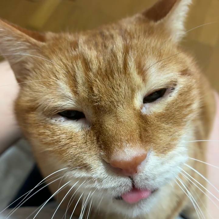 511314f2 32a5 46fa 88e4 6171bbb0a7a7 1771936499411