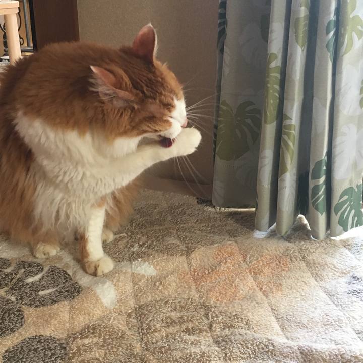 51131582 9231 4276 baba 8983d5b88f9b 1569598703648