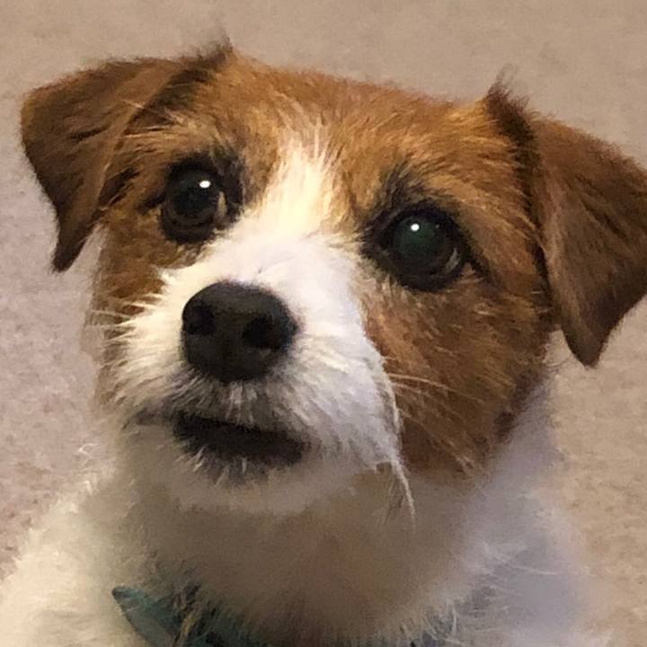 51133120 77d7 42a1 ab0f 3d0641554374 1571482846229