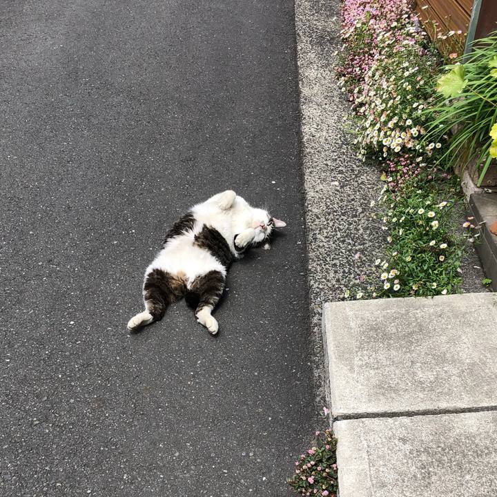 51136613 368a 49ee a178 3f771320739c 1587798460463