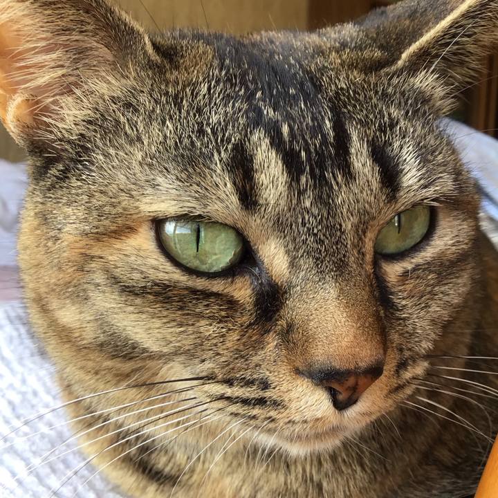 5113697a 8d1e 4b76 8b1b a4ec10946a12 1683099093345