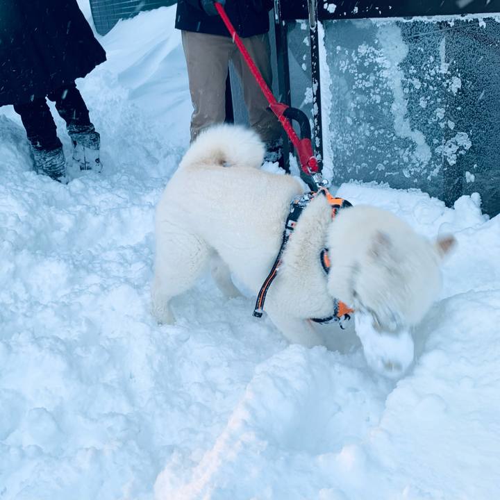 51138fac 7cd4 421c b952 befb6e881a43 1674687072361