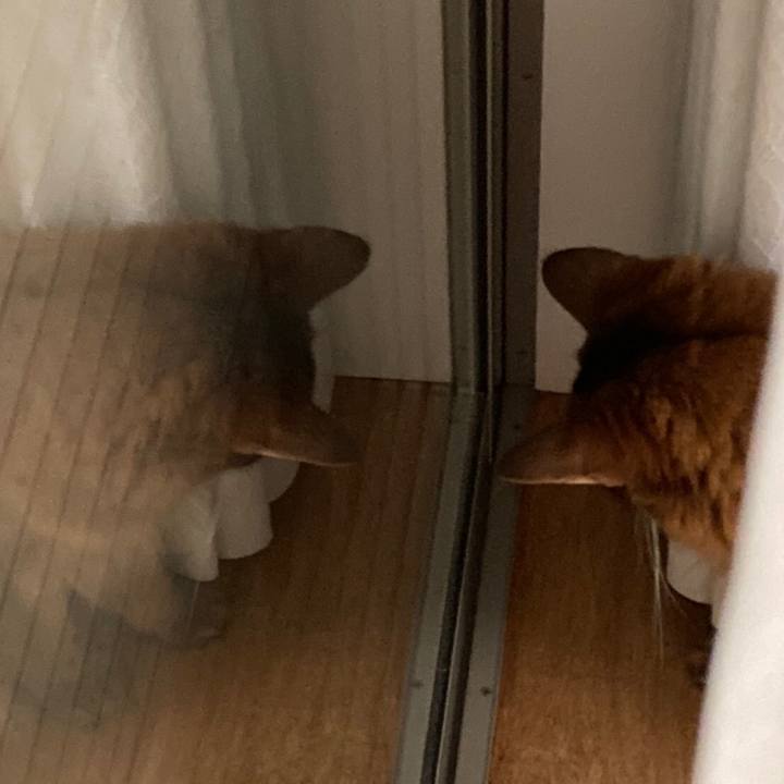 51142d12 26b4 4b1a bce9 e401ecfcfa4f 1628341895159