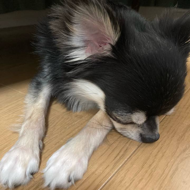 51147b21 7d47 4d5c bf6e 23c6feb0de80 1621087595063