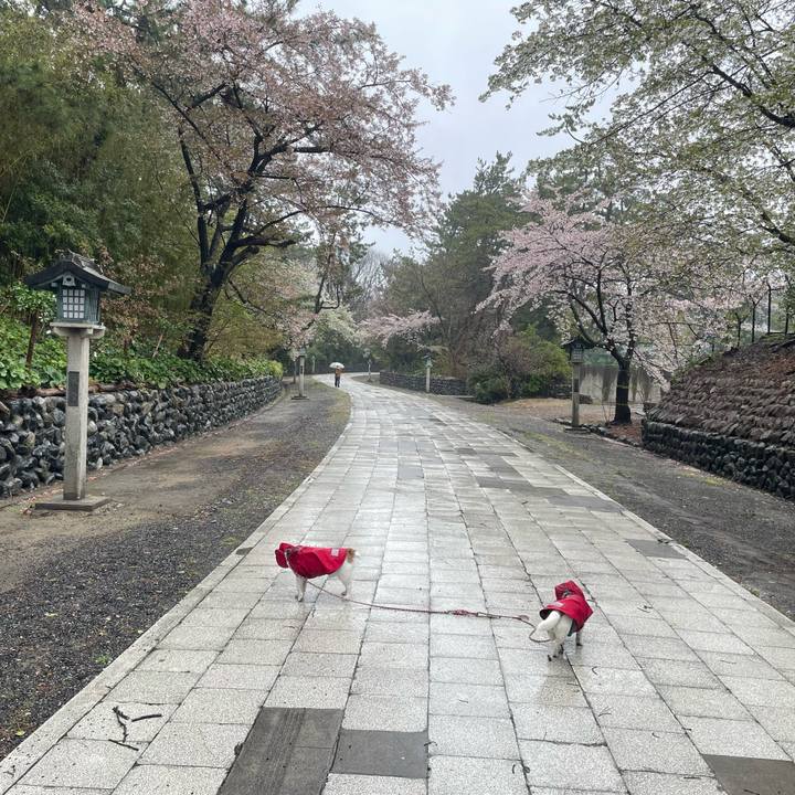 5114ad23 ead5 44e1 9979 9858b08816dc 1744584863195