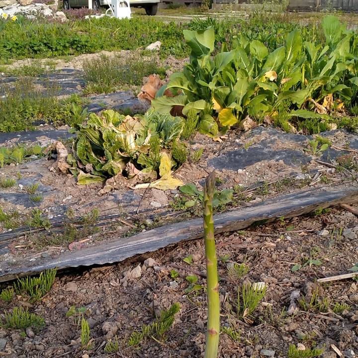 5114c53e 9c4f 4d98 81c9 906bfc6d47e8 1682115402607