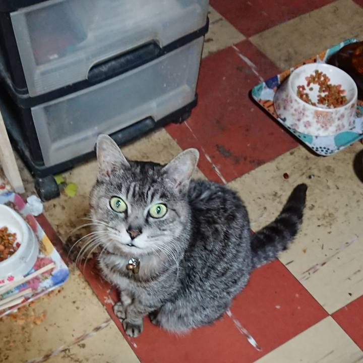 5114c747 e03c 4fc3 a8c5 31b101c1ed65 1585385982699