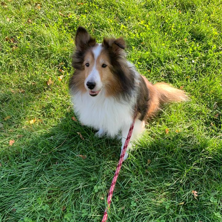 5114cd11 72f7 4624 a12e de82a59509bb 1601180155323