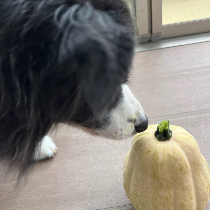 5114d453 88b2 4a16 aa5a 50f004fa6906 1757746830082