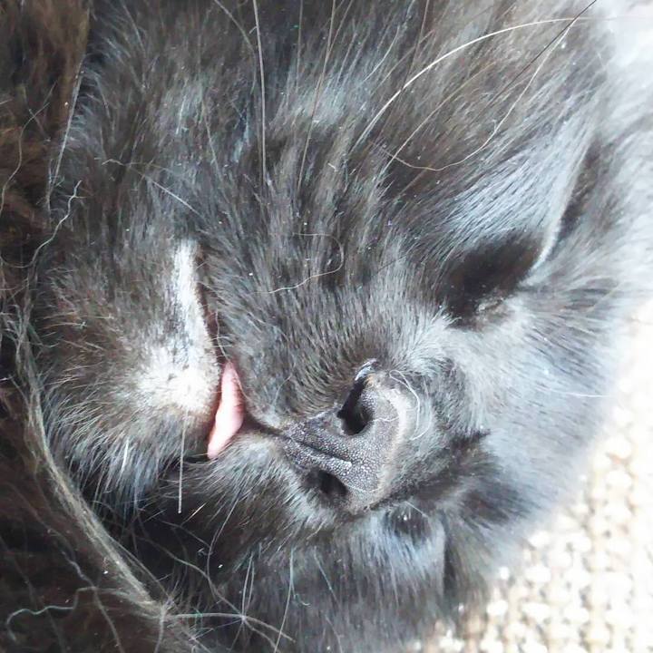 5114dbb6 2ced 4ad4 a719 1b1e83818644 1523717233359