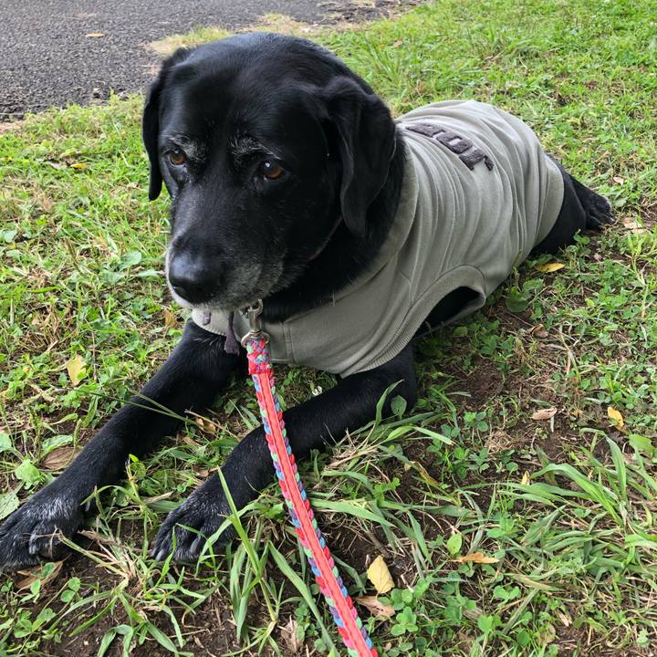 51159d93 b56b 4f37 a3d1 0327b2c78601 1603762560823