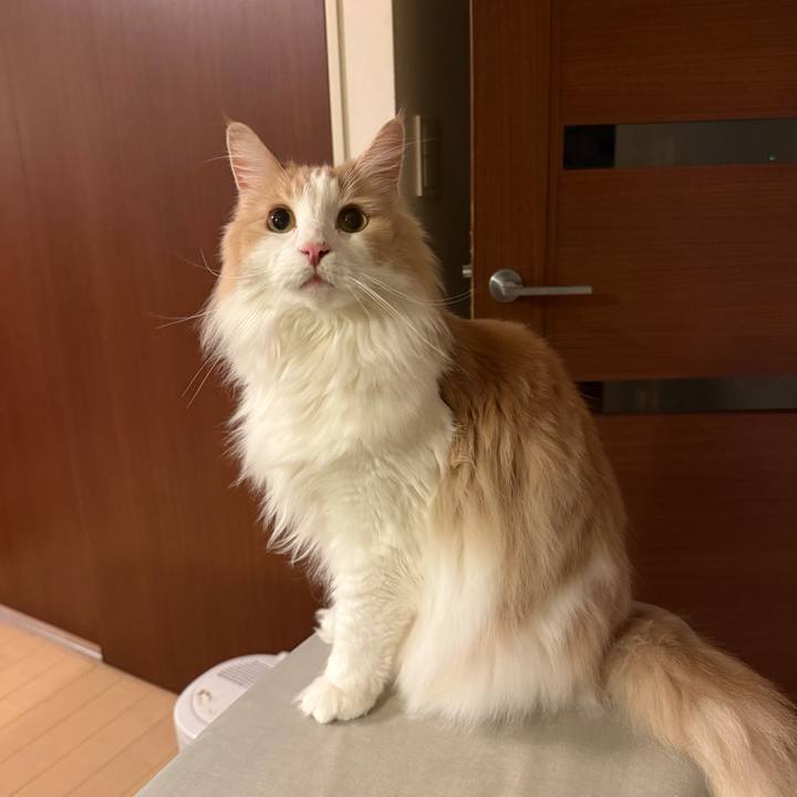 5115b6df 5cbf 45dc 894c 4e8b684f207e 1768048170296