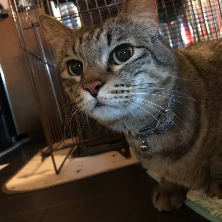 5116097a 0acc 4c6e bc0d 8da08b12e7cb 1512256358448