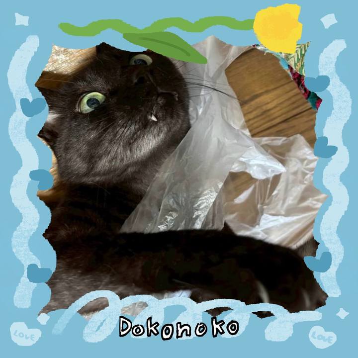 51161786 ebd2 481a 862a ed2fc371fe0f 1771967519123