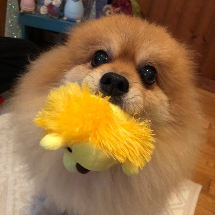 511662e0 2d14 440f ac87 1e659a947df0 1631311424360