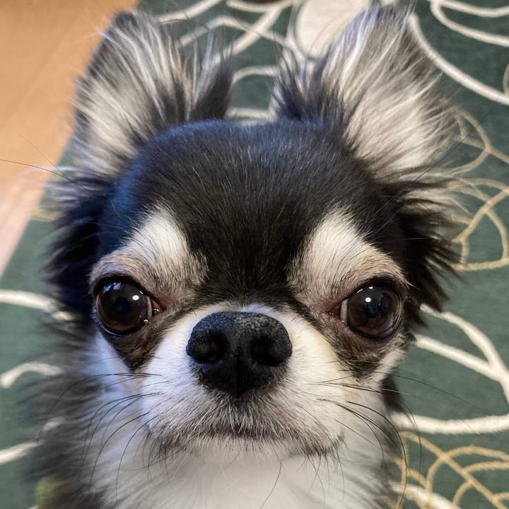 511667f8 4eda 4c22 8524 ec769881dc77 1644102866183