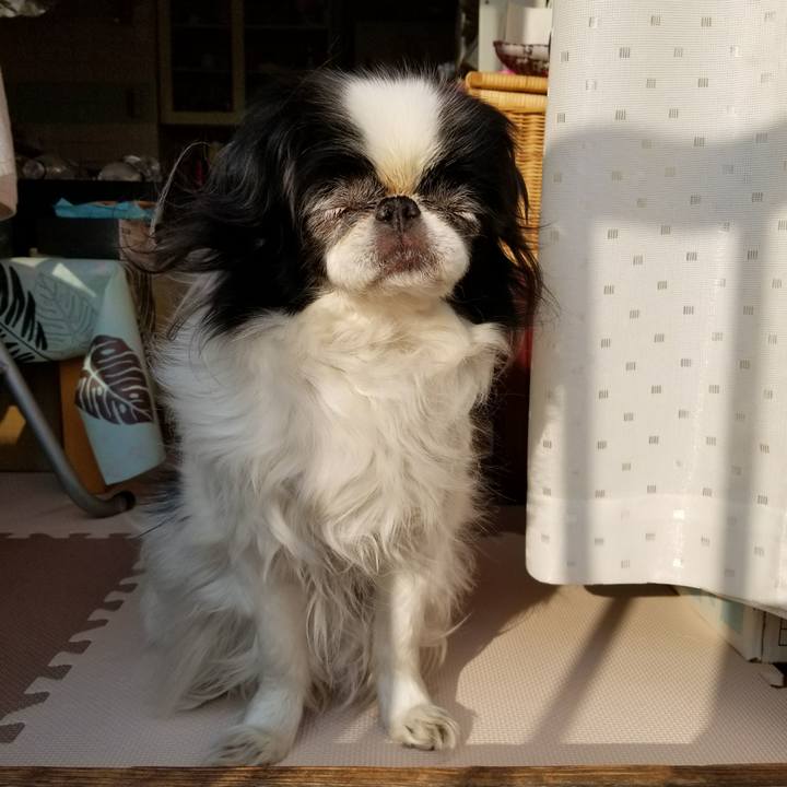 51167a72 fbf4 4a6d bf61 8e75e08aa40a 1519463611814