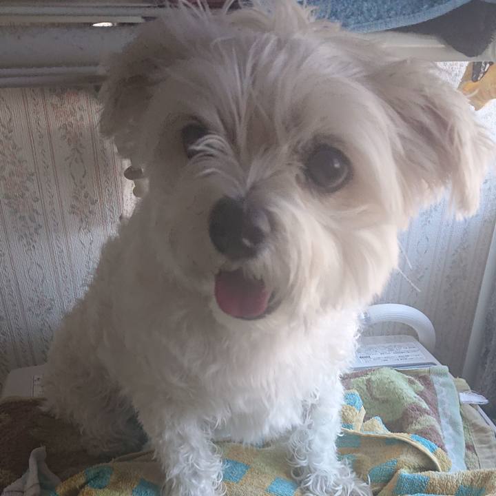 511699fd 9cfc 43b7 9d59 92beab67d977 1580539496484