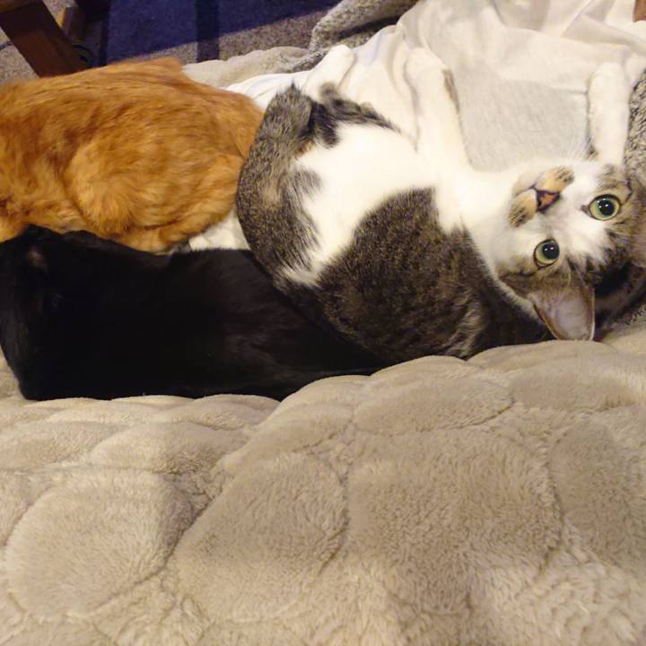 51169dfc 4b22 43ef 8d3e dcf7067dcc0f 1583323061908