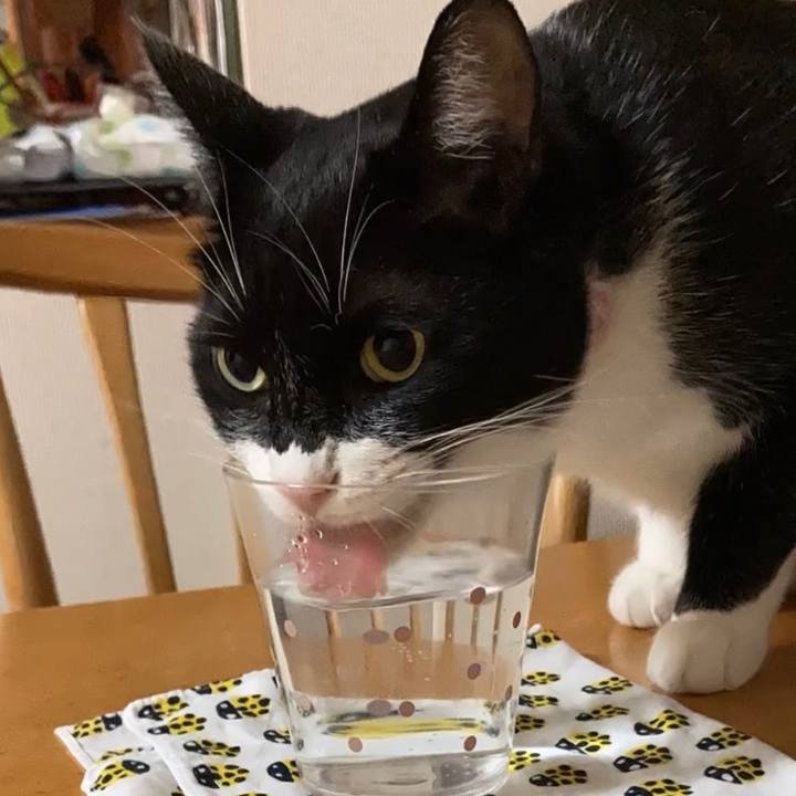 5116b646 b1fa 4d53 9c26 f5e03a85ddcb 1664444244515