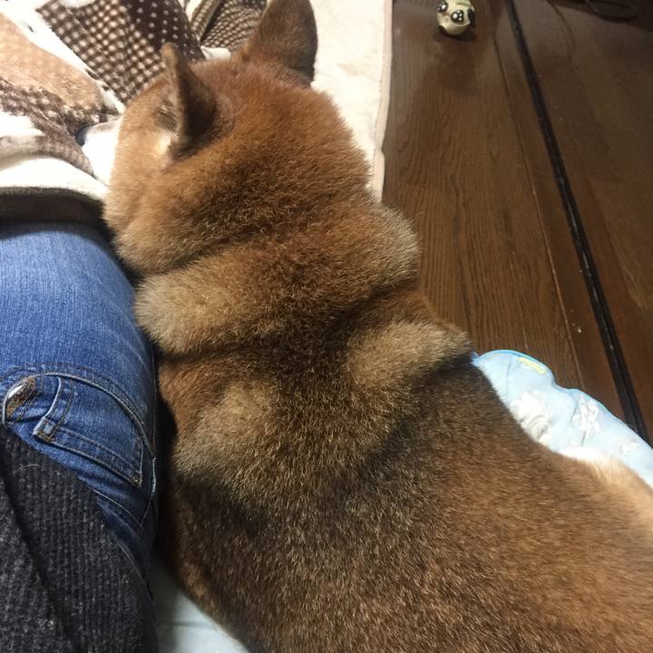 5116ec63 10c5 4e85 982c 377f4e124080 1540990286769