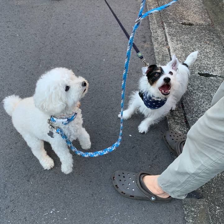 5116f00f 4187 4a52 8a1a 957dc9939bee 1726095893849