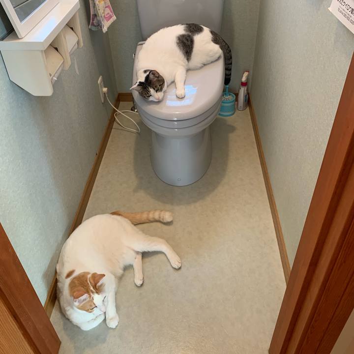 5116fe61 8b66 4241 a45e 5ab7192dda18 1569714604644