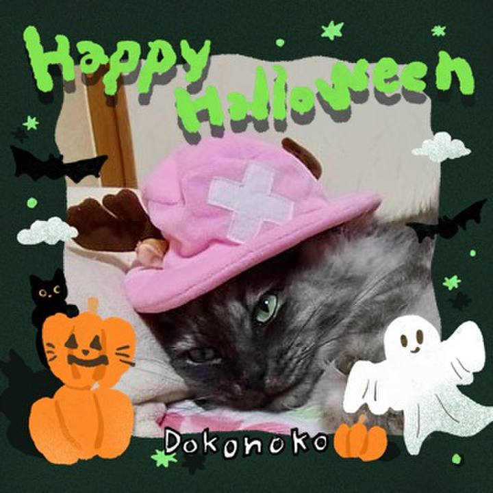 51170344 dab3 4841 b6c9 8581048e2c36 1729046206818