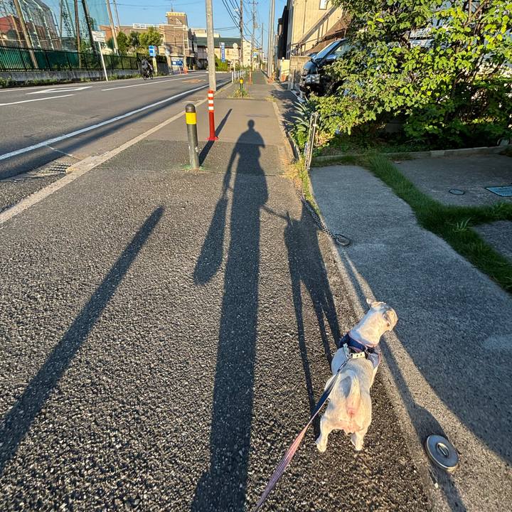 51170c12 a33f 4acc 9af6 0b1fbe6e91b4 1755216981035