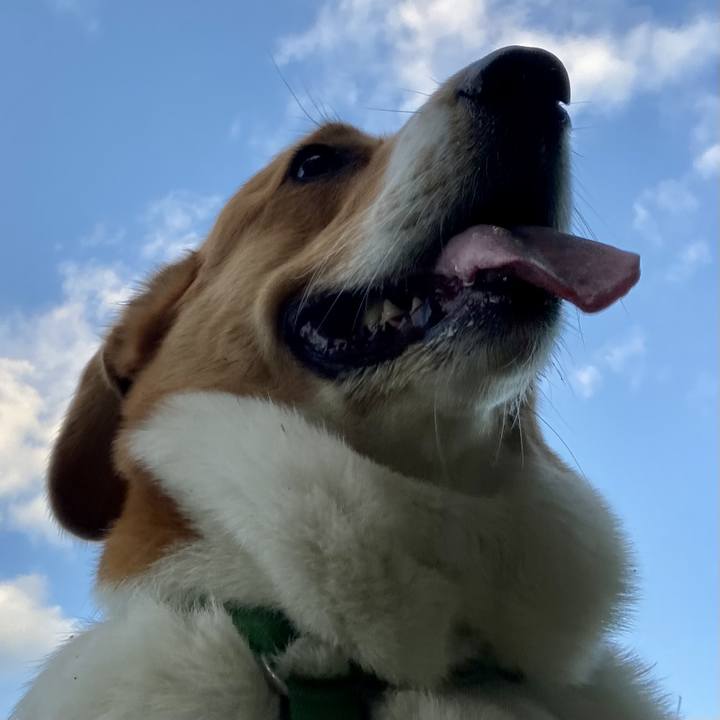 511735b8 a14e 4415 84bf e9d17491b2ec 1699058276735