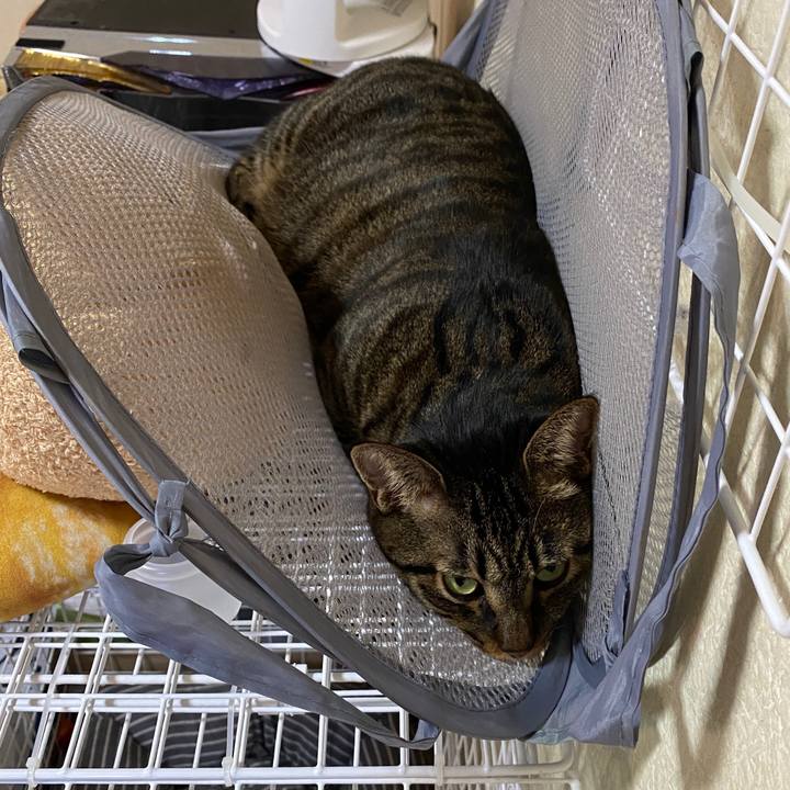 51175c75 f1ac 491d aba0 6bd25cb18605 1597561282497