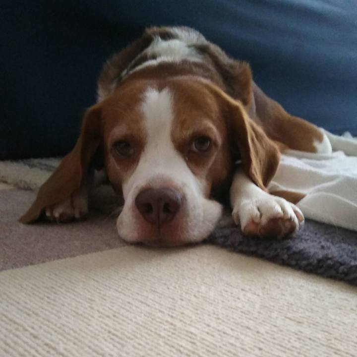 5117e041 62f6 4f41 bb42 ff07b68af9bb 1626336465072