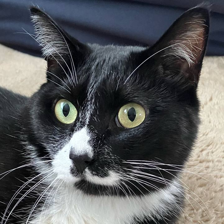 511823fa 636c 4ca5 a779 7b809976e96f 1695611287803