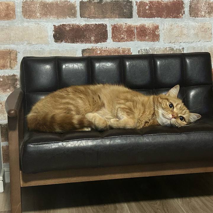 51184b58 da9f 43f6 b45f bbe51589fb5d 1682859013169