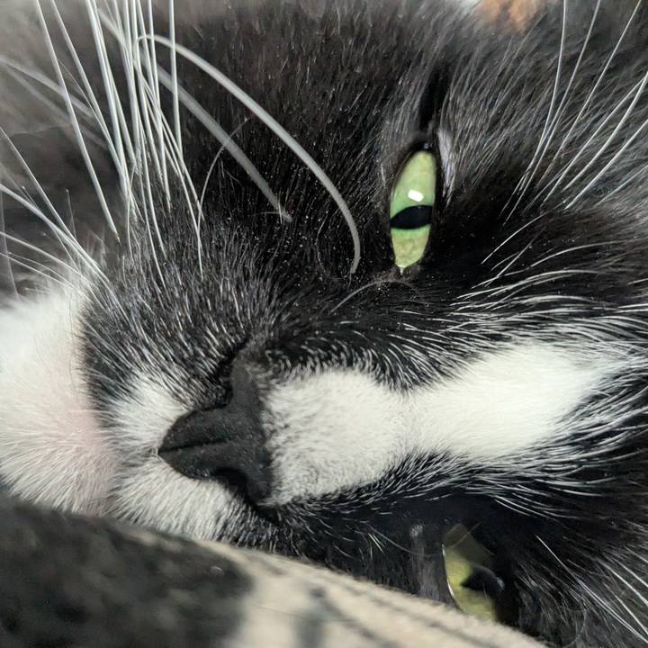 511861d7 274d 4761 92aa 1e68cb953922 1770460938071